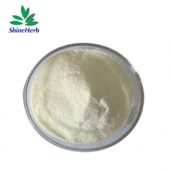 Casein Phosphopeptide