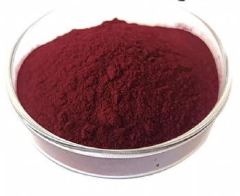 Grape Seed Extract